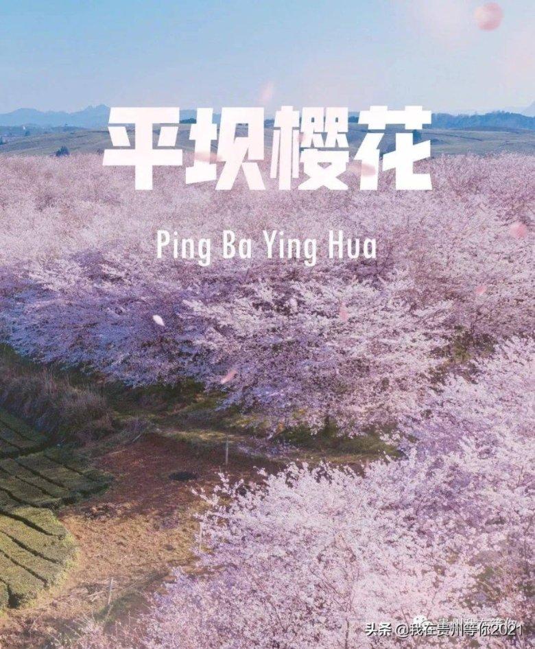 万词王